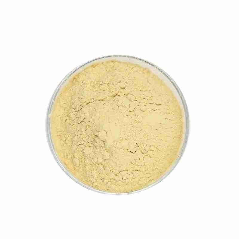 Vitamin A Acetate CAS# 127-47-9 Retinyl Acetate