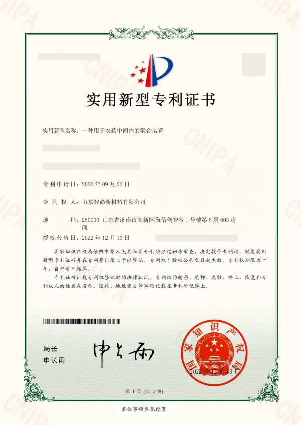 Patent