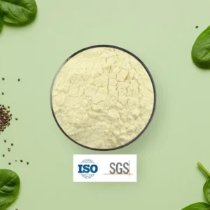 Dor Zolamide Hydrochloride 99% Purity Medicine Grade Solid for Global Export